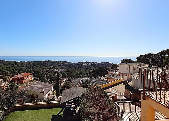 Cataleya Λορέτ Ντε Μαρ